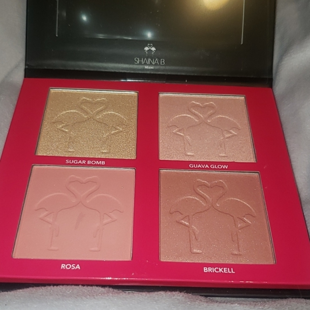Shaina B. Miami Palette